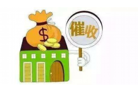 桑植专业讨债公司有哪些核心服务？